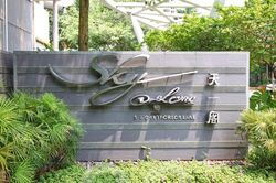 Sky@Eleven (D11), Condominium #561631691